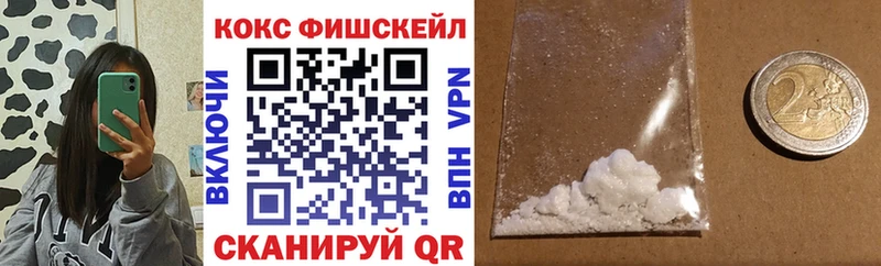 Кокаин FishScale  МЕГА сайт  Спасск 